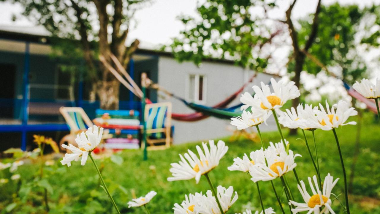 Bebo Babu Guest House Kutaisi Eksteriør billede